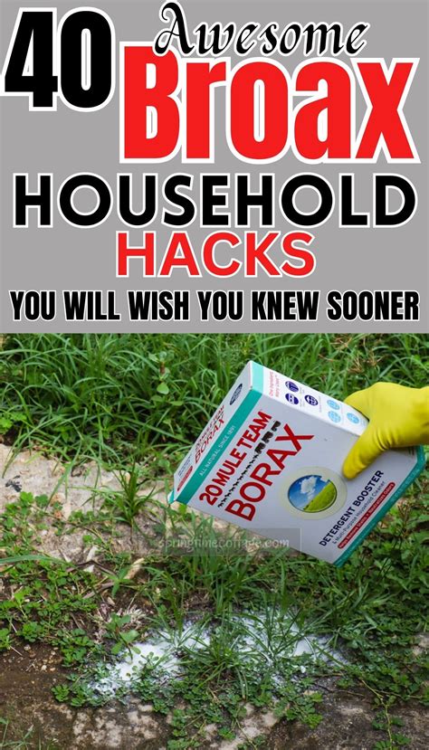 Best 13 The Ultimate Guide To Using Borax In Your Home & Garden – Artofit