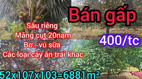 AMBIL SEKARANG