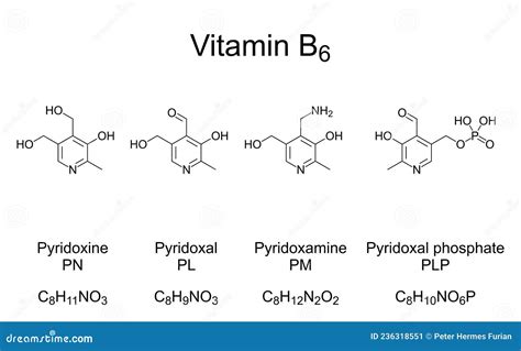 Pyridoxine, A Form Of Vitamin B6, Chemical Formula And Structure Cartoon Vector | CartoonDealer ...