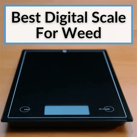 Best Digital Scale For Weed (Reviews And Buying Guide)
