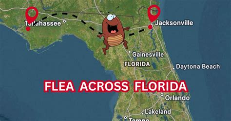Flea Across Florida, Olustee Park, Lake City, 13 September 2025 | AllEvents