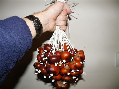 How to Play Conkers. : 7 Steps (with Pictures) - Instructables