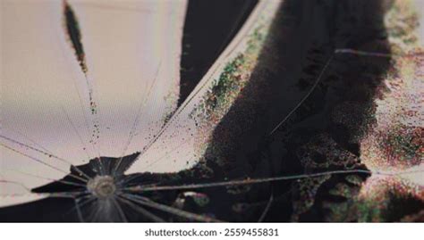 Image result for Digital Display Scratch