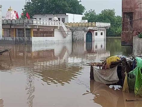 In the rural area of Borsad taluka, 2 more bodies were found stranded ...