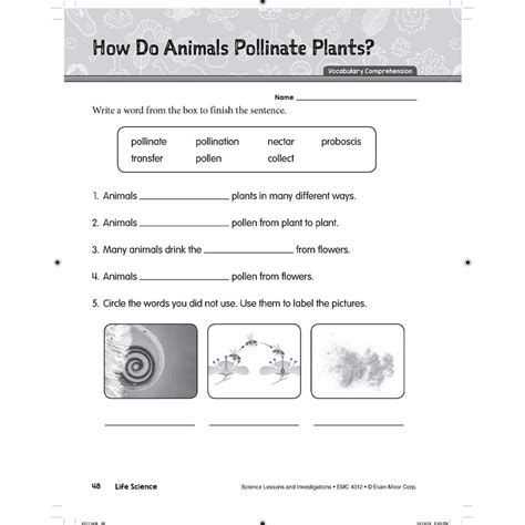 Image result for Grade 2 Science Lessons