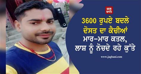 3600 ਰੁਪਏ ਬਦਲੇ ਦੋਸਤ ਦਾ ਕੈਚੀਆਂ ਮਾਰ-ਮਾਰ ਕਤਲ, ਲਾਸ਼ ਨੂੰ ਨੋਚਦੇ ਰਹੇ ਕੁੱਤੇ