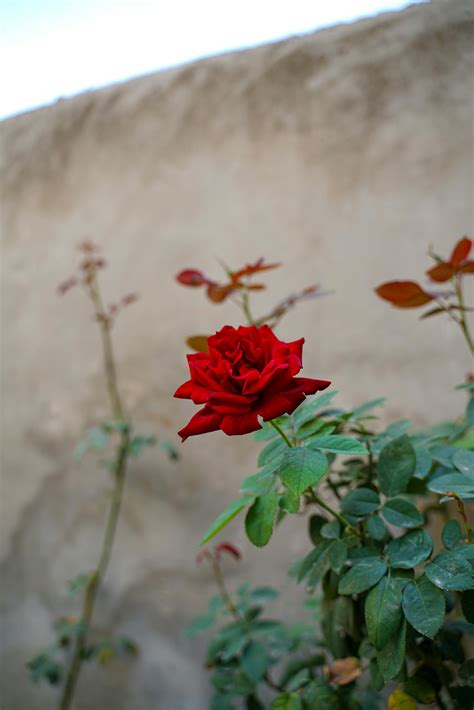 Hacking Background 的图像结果