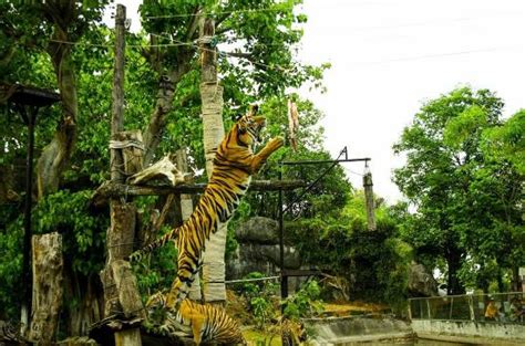 Songkhla Zoo - 2020 What to Know Before You Go (with Photos) - Tripadvisor