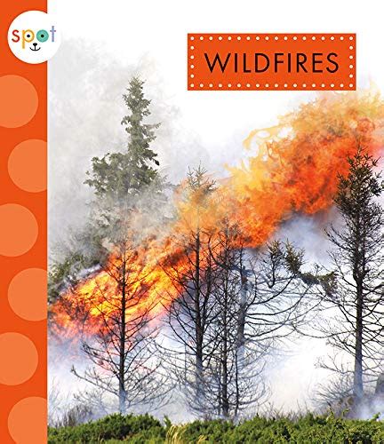 Wildfires (Extreme Weather) : Suen, Anastasia: Amazon.in: Books