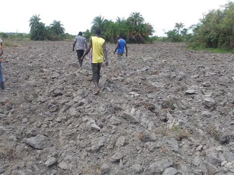 Shine FM - Ryeny Ba Acer (Shine Like A Star)