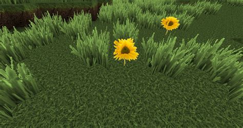 Java Forge Realistic Texture Pack 的图像结果