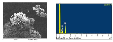 An Alternative Process for Leaching Chalcopyrite Concentrate in Nitrate ...