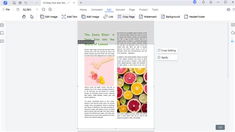 Image result for How to Do Editing in PDF File