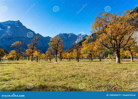 Image result for Simple CNN Example