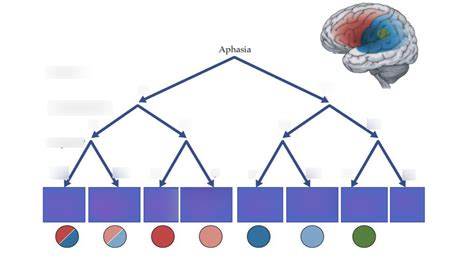 Image result for Aphasia Type Tree