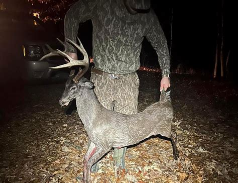 Hunter Tags 'Dwarf Buck' the Size of a Labrador Retriever