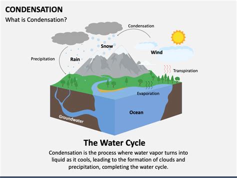 Condensation Process Explained 的图像结果
