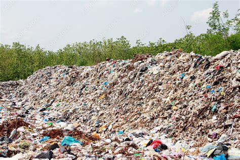Waste Pile 的图像结果