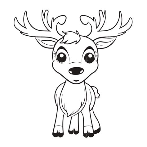 Cartoon Deer Coloring Pages [2025]