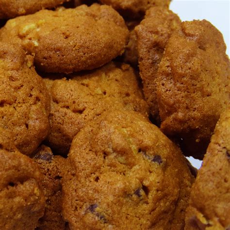 Persian Dietary Barley Cookies from Qazvin 700 grams (2x) - ShopiPersia