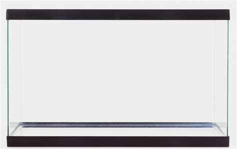 Huge Empty Fish Tank