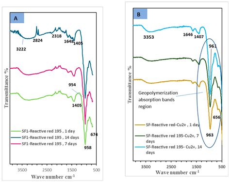 Immobilization Approach as a Creative Strategy to Remove Reactive Dye ...