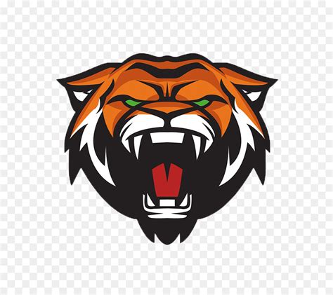 Image result for Script.php Polosan