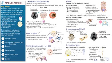 USMLE / COMLEX - Step 3: Congenital Infections (TORCHeS) | ditki ...