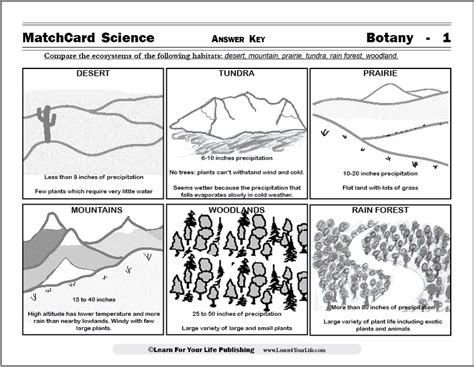 Ecosystem Worksheet 的图像结果