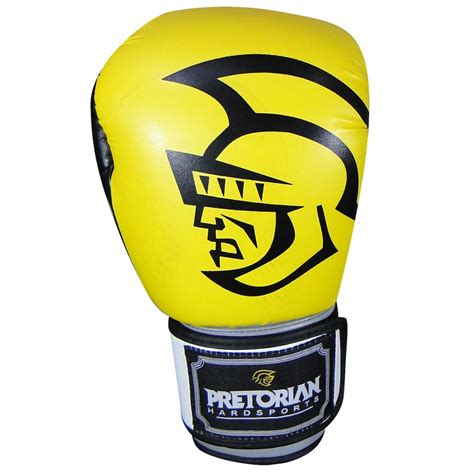 Rezultat imagine pentru Boxe Training