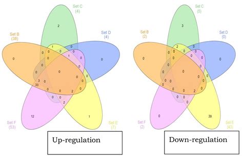 Analysis of Cytoplasmic and Secreted Proteins of Staphylococcus aureus ...