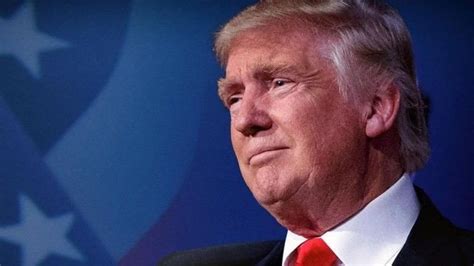 100 Days 2020 的图像结果