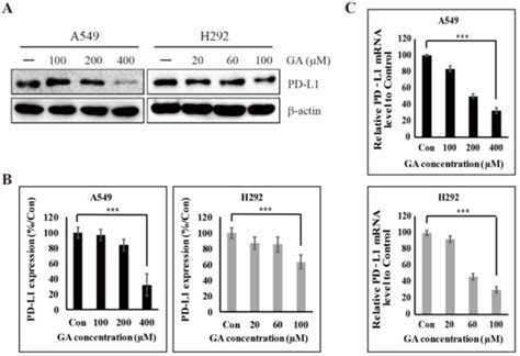 The Inhibitory Mechanisms of Tumor PD-L1 Expression by Natural ...