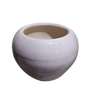 PLANTINPOT.IN Apple Shape Ceramic Planter - White : Amazon.in: Garden ...