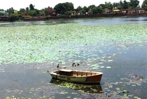 Project – Bhubaneswar Bindusagar Lake | Beyond Built Pvt Ltd