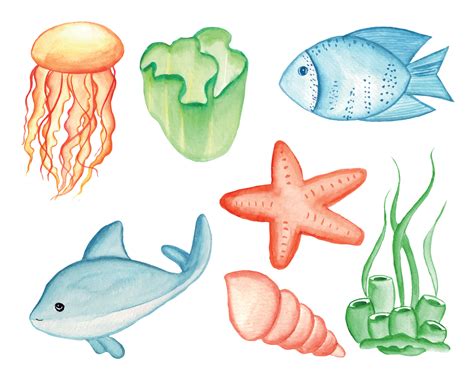 Watercolor Under The Sea Clipart Set 19641801 Vector Art at Vecteezy