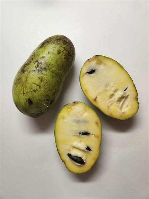 Pawpaw: A Big Fruit in Need of Bigger Love - Heritage Conservancy