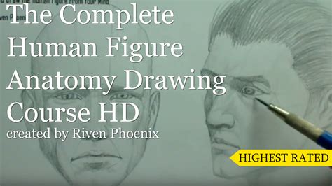 Complete Human Figure Anatomy Drawing Course HD by Riven Phoenix