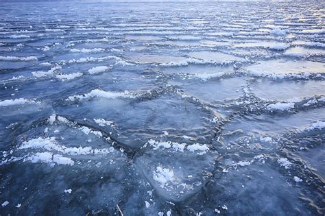 Premium Photo | Freezing sea ice round pieces, ocean background winter climate coast