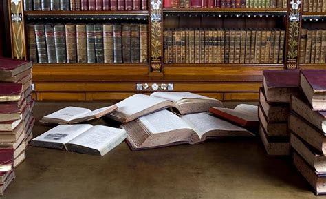 Practice Areas | Family, Business, Employment Law Services Calgary