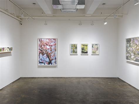 Maxine Henryson. Frequently the woods are pink | Meer