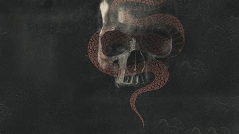 Image result for Python Eating Man