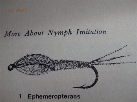 Simple Nymph Patterns 的图像结果