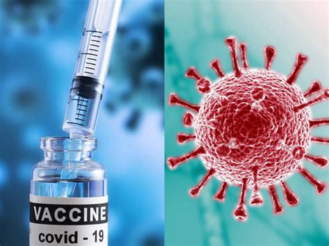 covid 19 cases in india new variants JN1 symptoms precautions vaccine ...