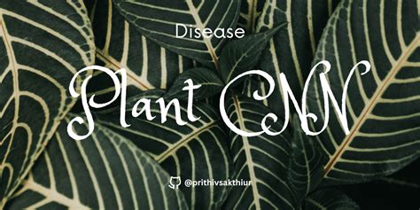 Plant Disease Classification Using CNN 的图像结果