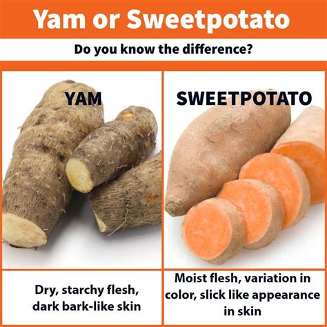 Sweet Potato Vs Yams Whats The Difference