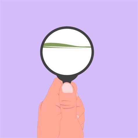 Image result for JavaScript Search Bar From Array
