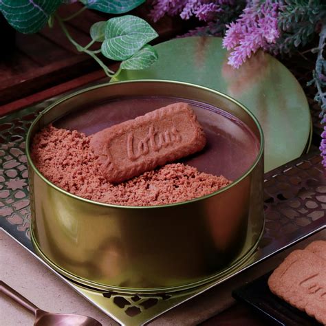 Lotus Biscoff Chocolate Dream Cake - 500 gms – Ssavita's Kitchen Hub