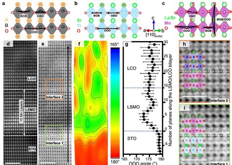 2024-25- Advanced Facility for Microscopy and Microanalysis