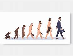 Image result for human evolution